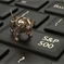 S&P 500: K téhle statistice teď vzhlížejí akcioví býci
