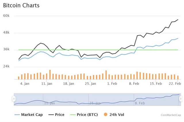 Kurz bitcoinu (YTD, 22. 2. 2021)