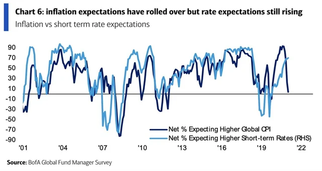Manažeři navzdory poklesu inflačních očekávání předpokládají růst krátkodobých sazeb