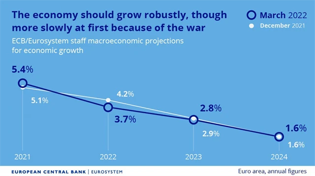 ECB - predikce vývoje HDP v eurozóně, zdroj: ECB