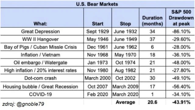 Medvědí trendy v USA