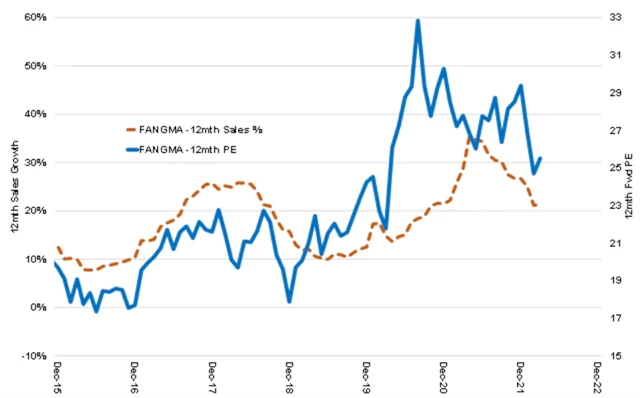 FANGMA - růst tržeb a ocenění podle P/E