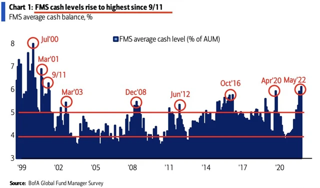 Manažeři drží v portfoliích nejvíce hotovosti od září 2001.