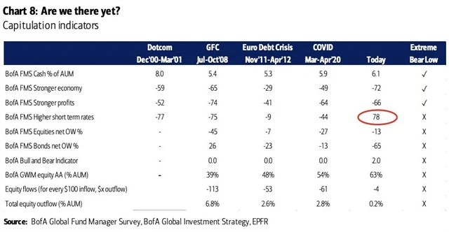 Manažeři ještě "nekapitulovali", ačkoli již mají hodně medvědí postoje.