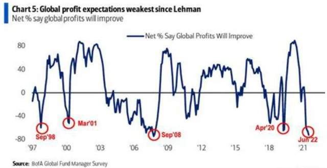 6 Očekávání ziskovosti