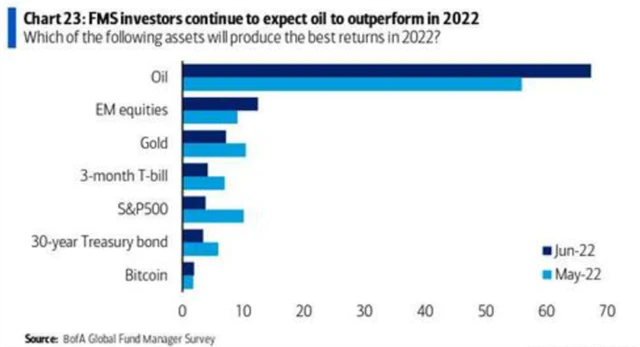 13 Očekávaná top výkonnost v letošním roce