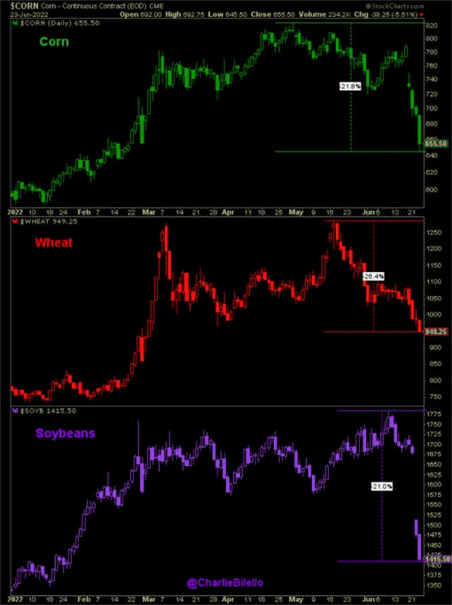 Kukuřice, sója a pšenice již odepsaly přes pětinu hodnoty