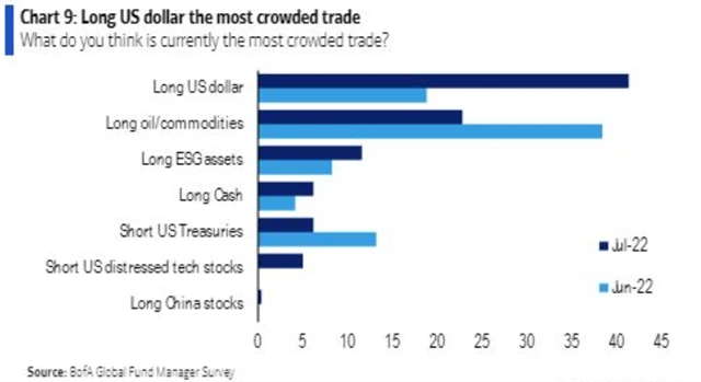 Dolar, komodity a ESG jsou podle manažerů nejpřecpanější obchody