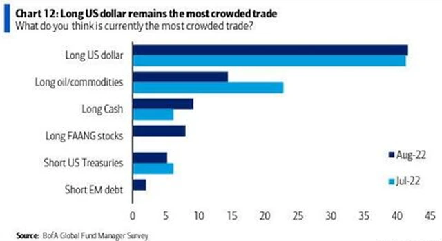 Nejpřecpanější obchody