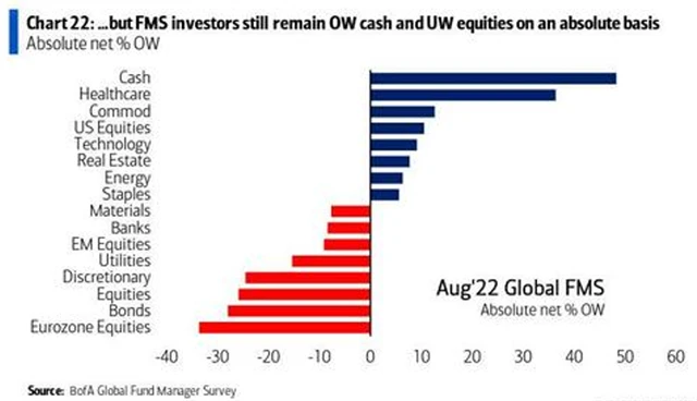 Manažeři nevěří Evropě, EM a spotřebitelským odvětvím
