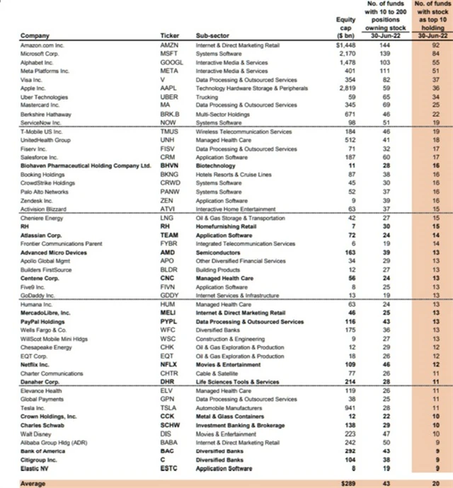 TOP 50 akciových pozic hedgeových fondů