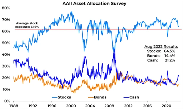 Drobní investoři v USA mají stále nadprůměrnou expozici vůči akciovému trhu