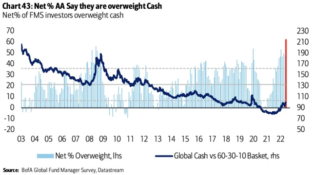 Manažeři spoléhají na hotovost