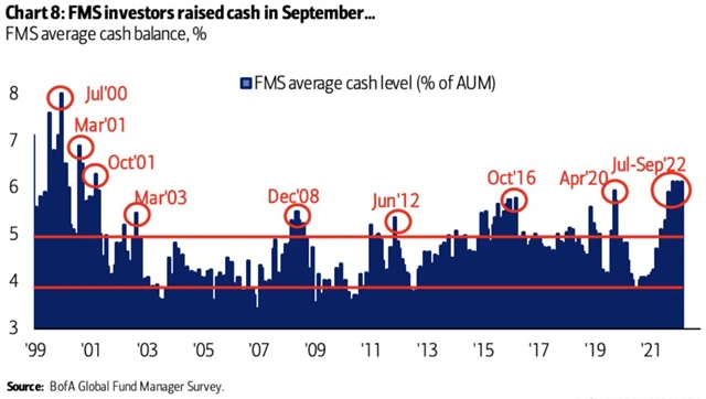 Manažeři drží v portfoliích vysoký podíl hotovosti