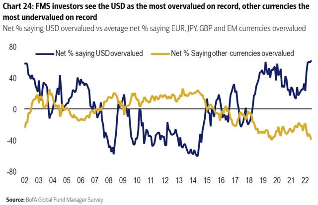 Dolar je podle manažerů rekordně nadhodnocený