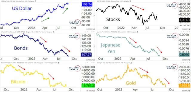 Přehled střednědobých trendů na trhu