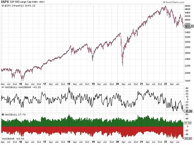 S&P 500 a 61 procent medvědů mezi individuálními investory v USA