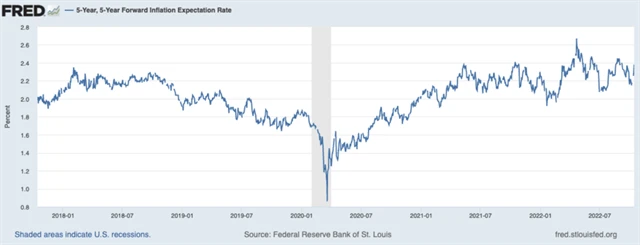 Inflační očekávání v USA (5Y5Y)