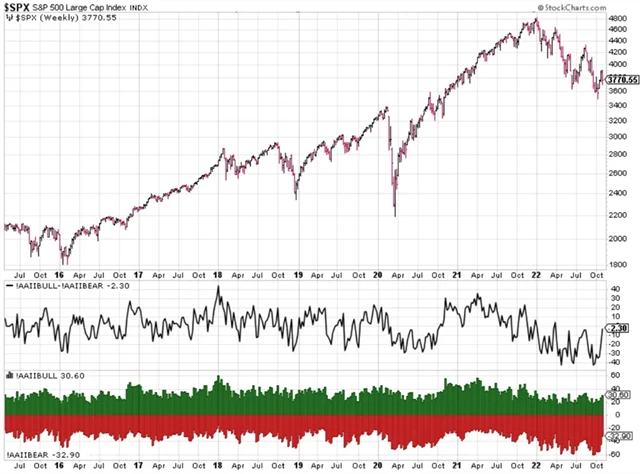 S&P 500 a AAII průzkum