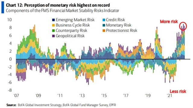 Riziko spojené s nevhodnou měnovou politikou je vnímáno nejsilněji v historii