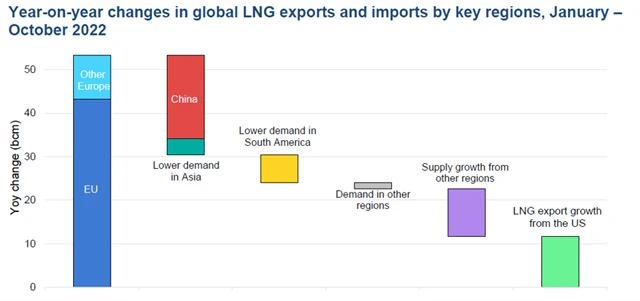 Meziroční změna dovozu a vývozu LNG