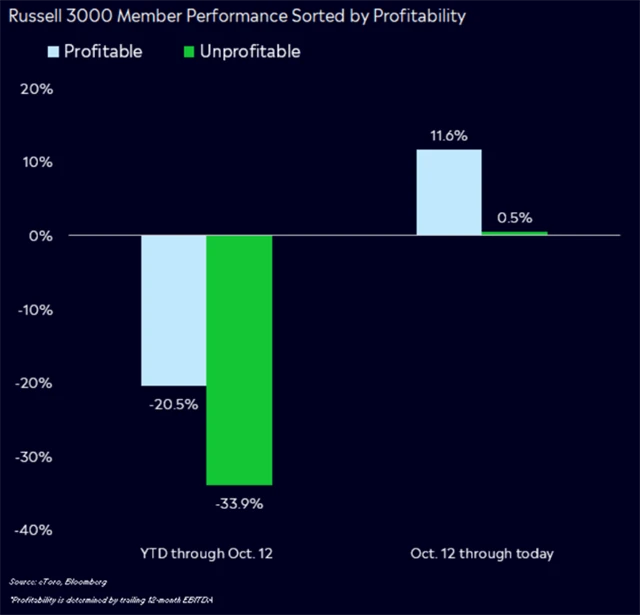 Russell 3000 - výkonnost akcií podle ziskovosti firem
