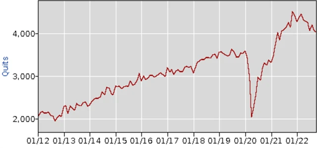 USA - dobrovolné odchody ze zaměstnání