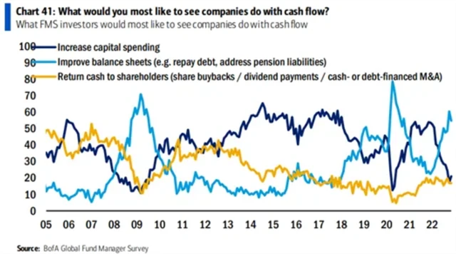 Manažeři fondů by nejraději viděli u firem zlepšování bilancí, nikoli investice ani dividendy a zpětné odkupy akcií