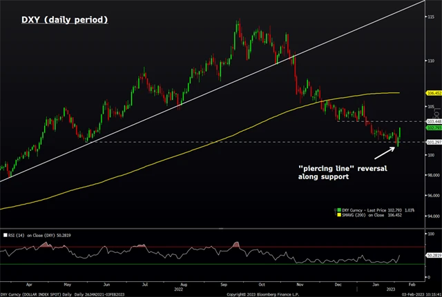 Americký dolar (denní)