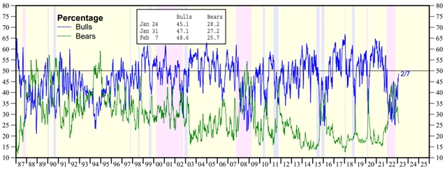 Býčí a medvědí investoři na americkém akciovém trhu (podíly v %), zdroj: yardeni.com