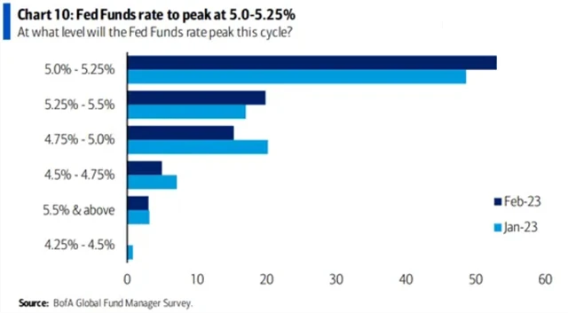 Kde čekají manažeři vrchol sazeb Fedu