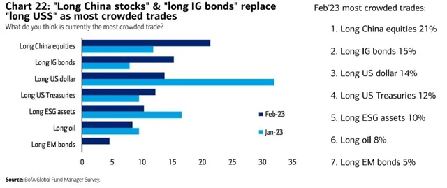Nejpřecpanější obchody na trzích