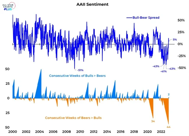 AAII - druhý týden s převahou býků