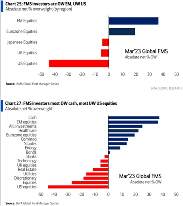 Pozice v portfoliích