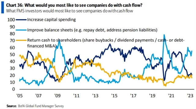 Manažeři by upřednostnili, aby firmy se svým cash flow vylepšovaly své bilance