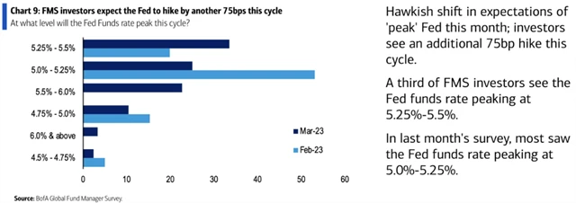 Výhled vývoje sazeb Fedu jako důkaz, že sběr dat proběhl ještě před krachem SVB