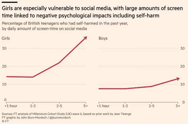 Dívky jsou náchylnější si brát obsah ze sociálních sítí