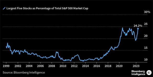 Podíl pěti největších titulů na tržní kapitalizaci S&P 500