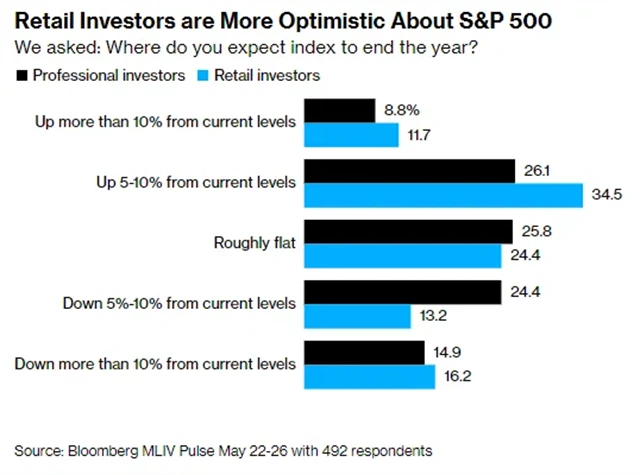 Drobní investoři jsou optimističtější než profíci, pokud jde o výhled indexu S&P 500 do konce roku