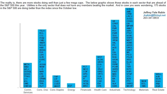 Od začátku roku zhruba třetina zahrnutých titulů překonává samotný index S&P 500