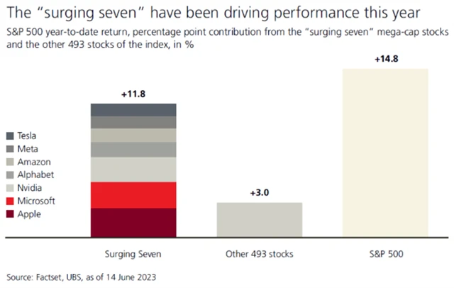 Výrazný příspevěk největších firem k celkové výkonnosti indexu S&P 500