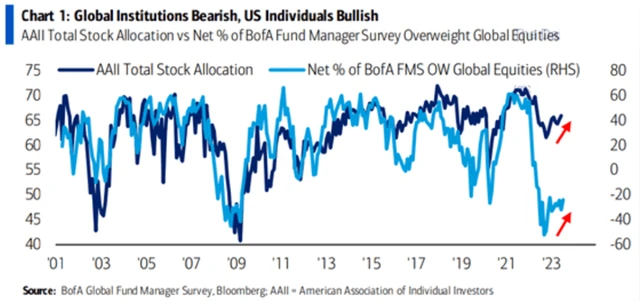 Rozdíl v náladě amerických individuálních investorů a globálních institucionálních investorů je bezprecedentní