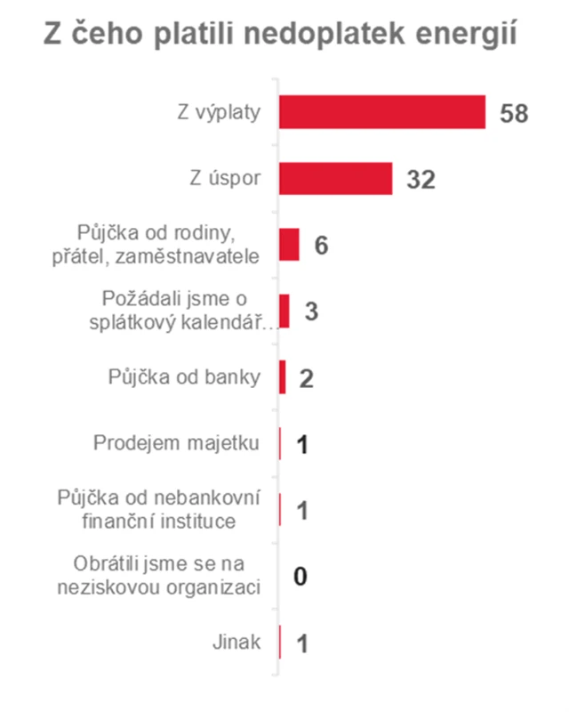 Z čeho dopláceli energie