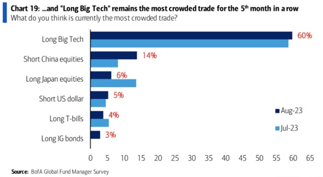 Nejpřecpanější obchody na trhu