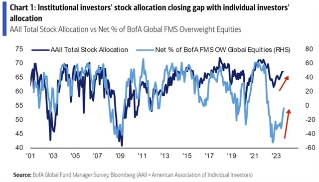 Akciová alokace profesionálních a individuálních investorů