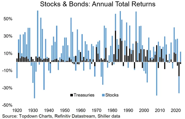 Americké akcie a vládní dluhopisy - výkonnost v jednotlivých letech