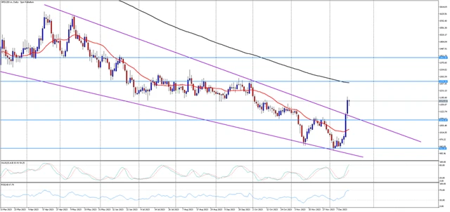 Palladium 18.12.2023