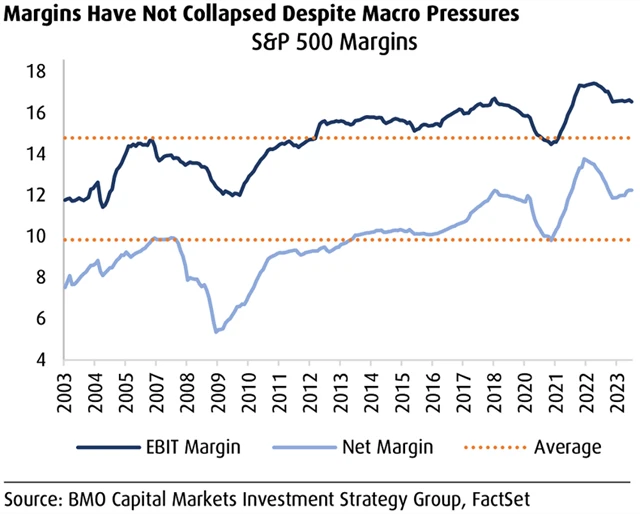 USA - ziskové marže firem v S&P 500 (v %), zdroj: BMO