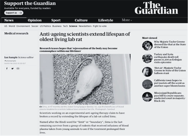 Dlouhý život myši