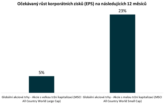 MSCI ACW - large caps. vs. small caps výhled EPS